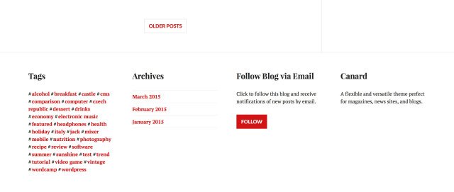 Footer Widget Area